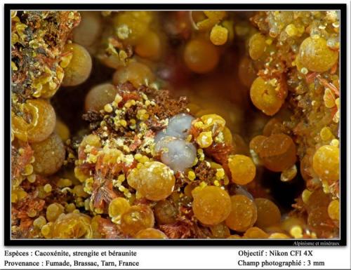 Cacoxenite, beraunite, strengite
Fumade, Castelnau-de-Brassac, Tarn, Midi-Pyrénées, France
fov  3 mm (Author: ploum)