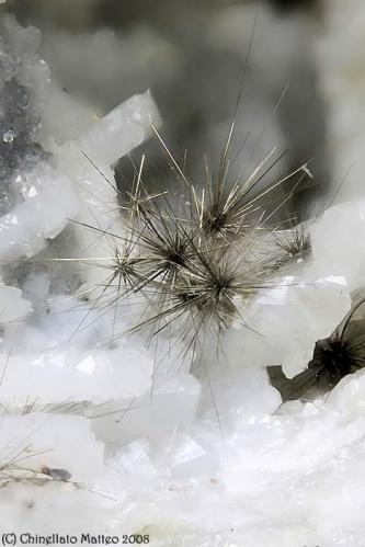 Millerite
Ca’ dei Ladri (Silla), Gaggio Montano, Bologna Province, Emilia-Romagna, Italy
Very nice 2.17 mm group of Millerite tuft (Author: Matteo_Chinellato)