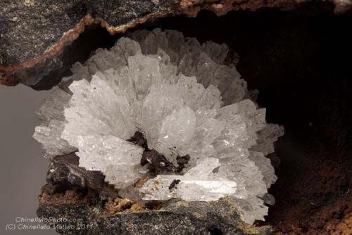 Aragonite
Mount Paterno (Mt Paterno), Bologna Province, Emilia-Romagna, Italy
Historical specimen with a 20.96 mm Aragonite crystal in cavity. Ex Dr. F.Krantz collection (Author: Matteo_Chinellato)