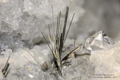 Millerite
Ca’ dei Ladri (Silla), Gaggio Montano, Bologna Province, Emilia-Romagna, Italy
4.26 mm group of Millerite crystals (Author: Matteo_Chinellato)