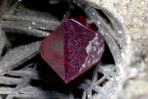 Cuprite
Madonna di Fucinaia (Madonna della Fucinaia; slag locality), Campiglia Marittima, Livorno Province, Tuscany, Italy
1.21 mm octhedron red ruby Cuprite crystal with the cavity surface reflected on a face. (Author: Matteo_Chinellato)