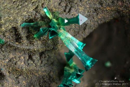 Spangolite
Madonna di Fucinaia (Madonna della Fucinaia; slag locality), Campiglia Marittima, Livorno Province, Tuscany, Italy
1.81 mm group of green Spangolite crystals (Author: Matteo_Chinellato)