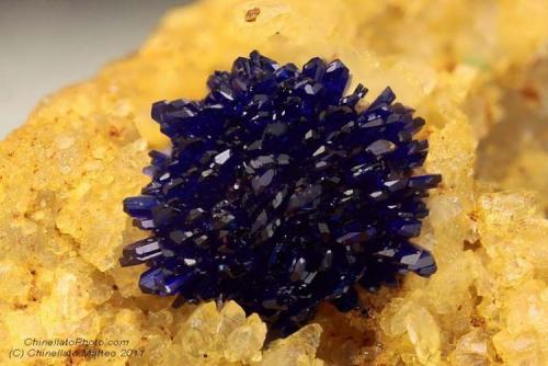 Azurite
Fantiscritti quarry, Carrara, Apuan Alps, Massa-Carrara Province, Tuscany, Italy
Nicest 2.27 mm Azurite ball (Author: Matteo_Chinellato)