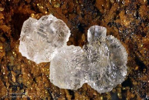 Melanophlogite
Fortullino, Rosignano Marittimo, Livorno Province, Tuscany, Italy
3.19 mm group of cubic Melaphlogite crystals (Author: Matteo_Chinellato)