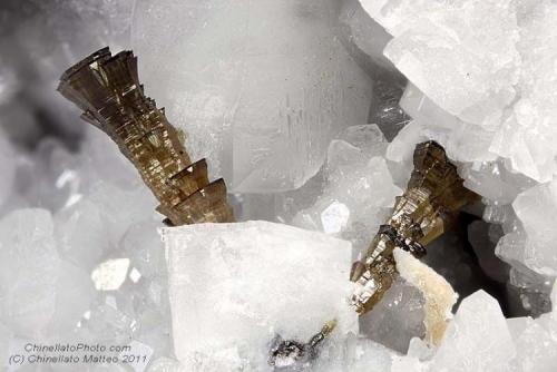 Wurtzite
Val Pulita, Carrara, Apuan Alps, Massa-Carrara Province, Tuscany, Italy
Group of two rarest Wurtzite crystals of 7 and 5.12 mm (Author: Matteo_Chinellato)