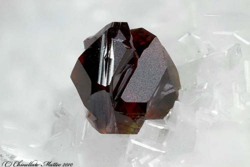 Sphalerite
Apuan Alps, Lucca Province, Tuscany, Italy
1.39 mm red dark Sphalerite crystal (Author: Matteo_Chinellato)