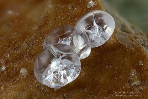 Melanophlogite
Fortullino, Rosignano Marittimo, Livorno Province, Tuscany, Italy
3.83 mm group of Melanophlogite balls (Author: Matteo_Chinellato)