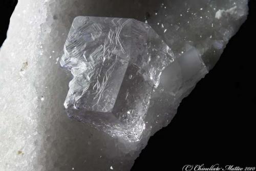 Fluorite
Gioia quarries, Casette, Massa, Apuan Alps, Massa-Carrara Province, Tuscany, Italy
9.32 mm transparent Fluorite crystal on marble (Author: Matteo_Chinellato)