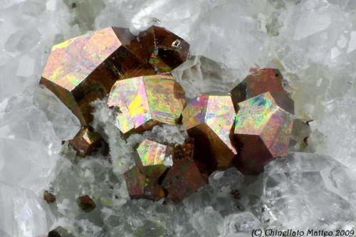Pyrite
Artana quarry, Carrara, Apuan Alps, Massa-Carrara Province, Tuscany, Italy
1.62 mm group of iridescent Pyrite crystals (Author: Matteo_Chinellato)