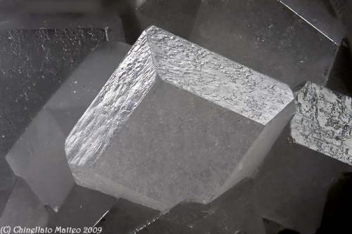 Calcite
Artana quarry, Carrara, Apuan Alps, Massa-Carrara Province, Tuscany, Italy
3.19 mm Calcite crystal (Author: Matteo_Chinellato)
