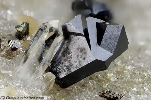 Sphalerite var. Marmatite
Bottino Mine, Stazzema, Apuan Alps, Lucca Province, Tuscany, Italy
1.55 mm black Sphalerite var. Marmatite crystal with Quartz (Author: Matteo_Chinellato)