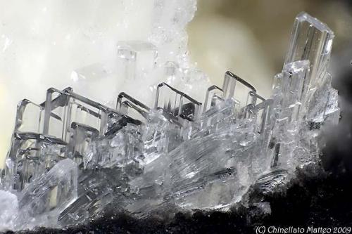 Gypsum
Le Cetine di Cotorniano Mine (Le Cetine Mine; Cetine Mine; Rosia), Chiusdino, Siena Province, Tuscany, Italy
2.9 mm group of transparent Gypsum crystals (Author: Matteo_Chinellato)