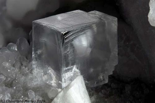 Fluorite
Val Pulita, Carrara, Apuan Alps, Massa-Carrara Province, Tuscany, Italy
Nice transparent Fluorite cube of 6.37 mm (Author: Matteo_Chinellato)