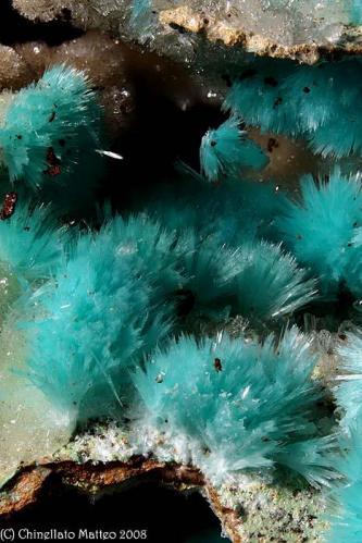 Aurichalcite
Campiglia Marittima, Livorno Province, Tuscany, Italy
Close up of 11 mm on a group of Aurichalcite tufts (Author: Matteo_Chinellato)