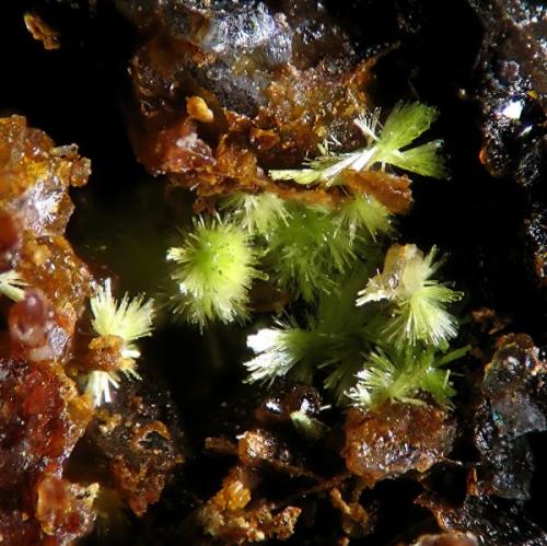 Arturhite - Chovar, Valencia, Spain.
Field of view:1.2 mm (Author: Rewitzer Christian)