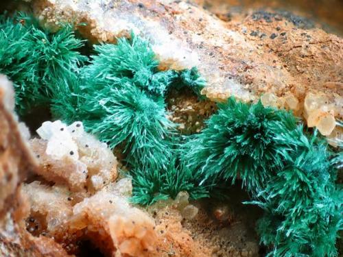 Malachite from Cerro de los Guardias, Rodalquilar, Almería, Spain.
Field of view: 5 mm (Author: Rewitzer Christian)