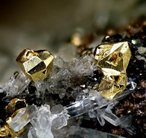 Gold from Verespatak (former name in the Austro-Hungarian empire of the current Rosia Montana, Rumania)
Field of view: 1.8 mm (Author: Rewitzer Christian)