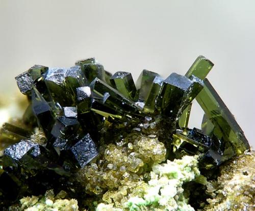 Olivenite from Cocotas Mines, Tijola, Granada, Spain.
Field of view: 3.2 mm (Author: Rewitzer Christian)
