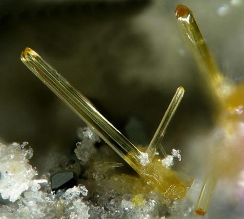 Fluoro-edenite from Monte Calvario, Biancavilla, Etna Vulcano, Catania, Sicilia, Italy.
Field of view: 1.8 mm (Author: Rewitzer Christian)