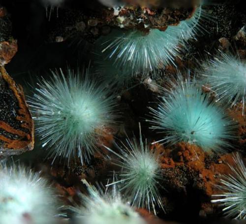 Agardite, Lavrion, Greece   4 mm (Author: Rewitzer Christian)