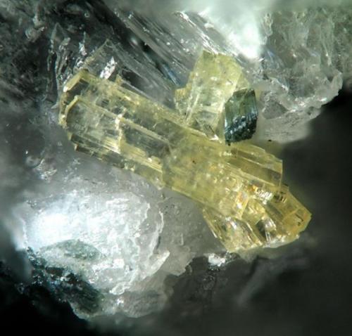 Haineaultite, Mt. St. Hilaire, Canada 1 mm (Author: Rewitzer Christian)