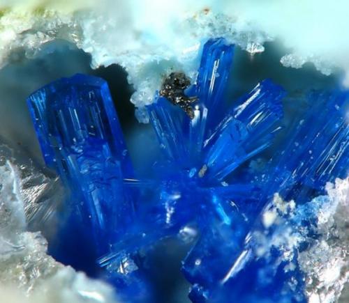 Linarite, Linares, Spain  1 mm (Author: Rewitzer Christian)