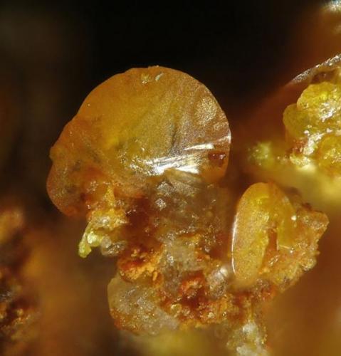 Schwartzembergite, Atacama, Chile  1 mm (Author: Rewitzer Christian)