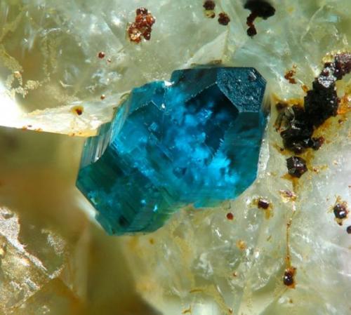 Spangolite, Bingham, USA  1 mm (Author: Rewitzer Christian)