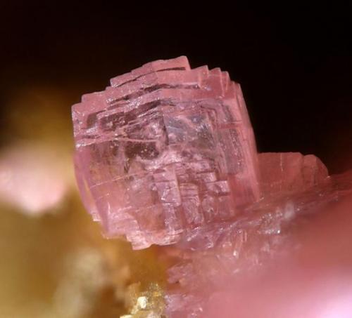 Talmessite, Bou Azzer, Morocco  1.5 mm (Author: Rewitzer Christian)