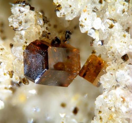 Vanadinite, Albuñuelas, Granada, Spain  3 mm (Author: Rewitzer Christian)