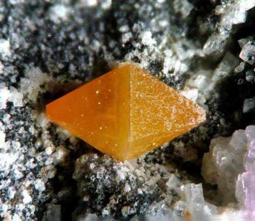 Wulfenite, Albuñuelas, Granada, Spain  2 mm (Author: Rewitzer Christian)