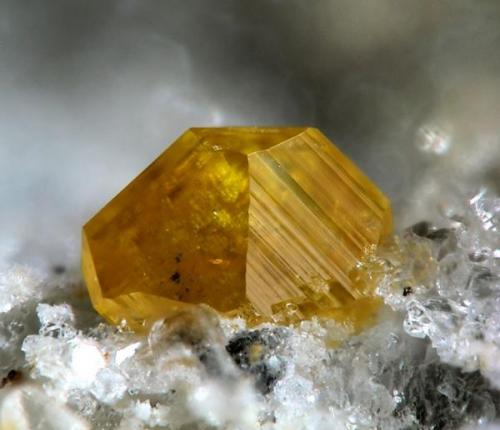 Wulfenite, Albuñuelas, Granada, Spain  2 mm (Author: Rewitzer Christian)