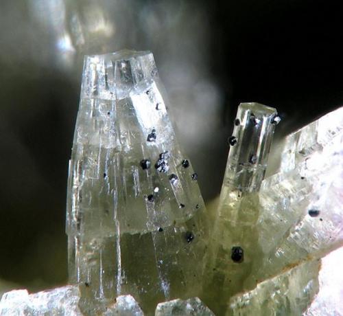 Pyrosmalite - Monchi Mine, Burguillos del Cerro, Badajoz, Spain (Author: Rewitzer Christian)