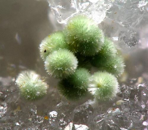 Sodium Dufrenite - La Paloma Mine, Zarza la Mayor, Cáceres, Spain (Author: Rewitzer Christian)