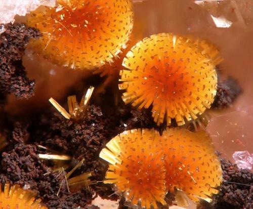 Cacoxenite - La Paloma Mine, Zarza la Mayor, Cáceres, Spain (Author: Rewitzer Christian)