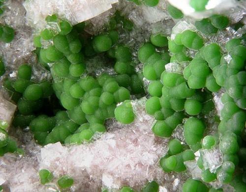 Conichalcite - Tsumeb, Namibia. 3 mm. (Author: Rewitzer Christian)