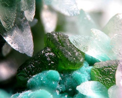 Duftite with Rosasite & Smithsonite - Tsumeb, Namibia. 3 mm. (Author: Rewitzer Christian)