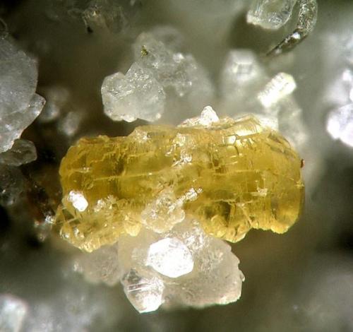 Chernovite-(Y) - Wanni Glacier, Switzerland. 1 mm. (Author: Rewitzer Christian)