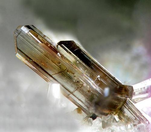 Baddeleyite - Monte Somma, Italy. 1 mm. (Author: Rewitzer Christian)