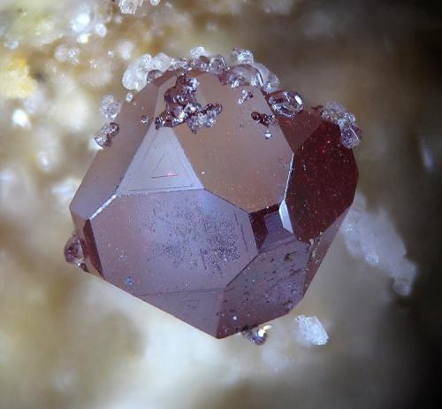 Cuprite
Tsumeb Mine, Tsumeb, Namibia
fov 2 mm (Author: Rewitzer Christian)