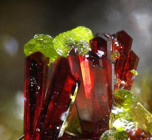 Gartrellite on Carminite
Tsumeb Mine, Tsumeb, Namibia
fov 0.7 mm. (Author: Rewitzer Christian)