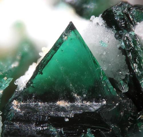 Anatacamite
La Vendida Mine, Caracoles, Chile
fov 0.8 mm (Author: Rewitzer Christian)