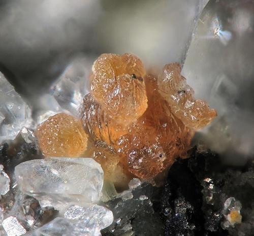 Juonniite
Kola Peninsula, Murmanskaja Oblast’, Northern Region, Russia
fov 0.5 mm (Author: Rewitzer Christian)