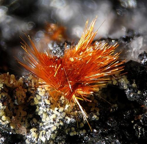 Ludlockite
Tsumeb Mine, Tsumeb, Namibia
fov 2 mm (Author: Rewitzer Christian)