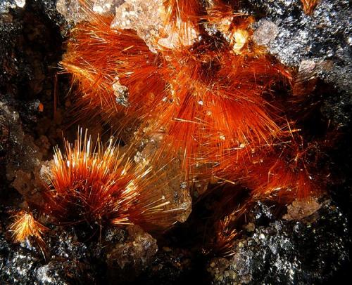 Ludlockite
Tsumeb Mine, Tsumeb, Namibia
fov 4 mm (Author: Rewitzer Christian)