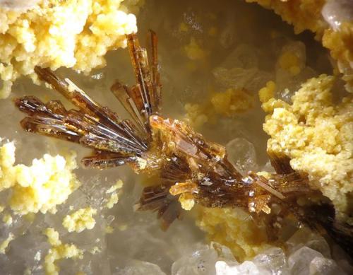 Kinichilite
Bambolla Mine, Moctezuma, Mexico
fov 2.5 mm (Author: Rewitzer Christian)