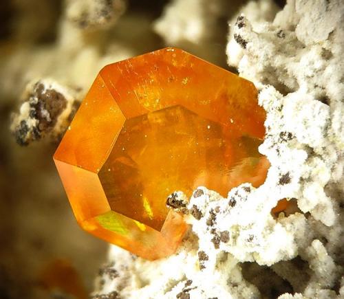 Wulfenite
Albuñuelas, Granada, Andalucía, Spain
fov 4 mm (Author: Rewitzer Christian)