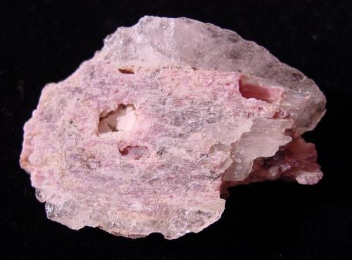 Spodumene, var. Kunzite (shards) altering to Montmorillonite within Quartz
White Queen Mine, Hiriart Mountain, Pala District, San Diego County, California, USA
4.9 x 3.9 x 1.3 cm (Author: Chris Wentzell)