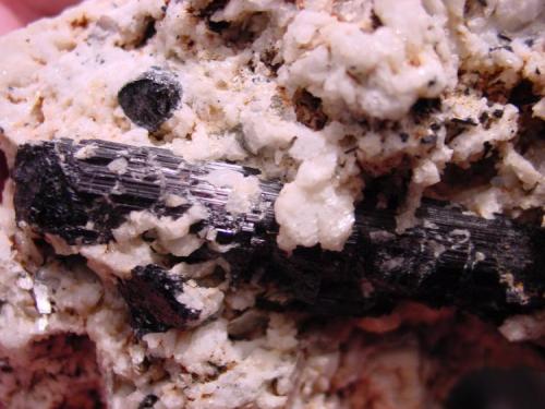 Tourmaline, var. Schorl, in sugary-white Albite
White Queen Mine, Hiriart Mountain, Pala District, San Diego County, California, USA
schorl crystal is 6.0 x 1.5 cm in larger matrix (Author: Chris Wentzell)