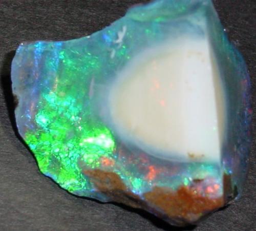 Precious Opal
Stonetree Opal Mine Group, Virgin Valley, Humboldt County, NV, USA
4.0 x 3.5 cm (Author: Chris Wentzell)